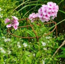 Grow Through Plant Supports