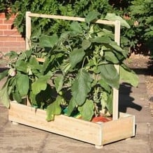 Growbag Trough and Frame Short