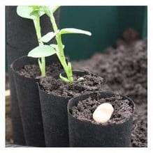 GrowTubes Pack of 20 GrowTubes Pack of 20