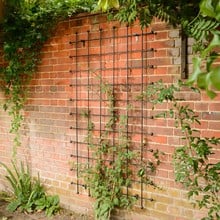 Harrod Decorative Wall Trellis Panels - Straight Trellis