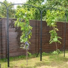 Harrod Ellipse Garden Screens