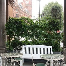 Harrod Espalier Growing Frame