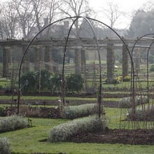 Harrod Fruit Tree Gazebos