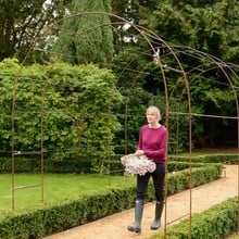 Harrod Linked Vintage Wire Arches - Rust