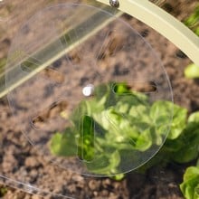 Harrod Longrow Cloche