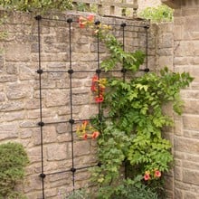 Harrod Node Trellis System Kits