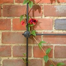 Harrod Node Trellis System Kits