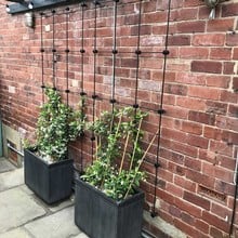 Harrod Node Trellis System Kits