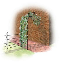 Harrod Ogee Wall Arch