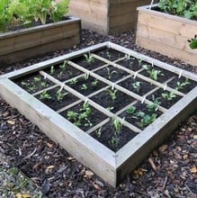 Harrod Raised Bed Planting Grid