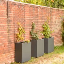 Harrod Rectangle Metal Planters - Anthracite Grey