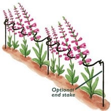 Harrod Scalloped Arm Link Stakes