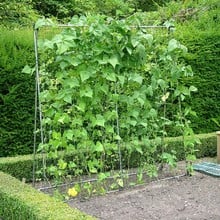 Harrod Slot & Lock® Bean & Pea Frames