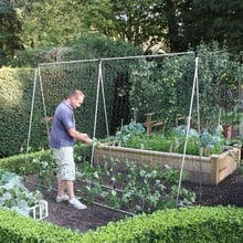 Harrod Slot & Lock® Bean & Pea Frames