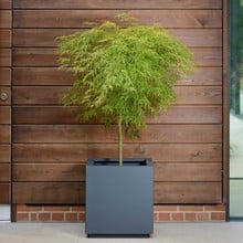 Harrod Square Metal Planters - Anthracite Grey