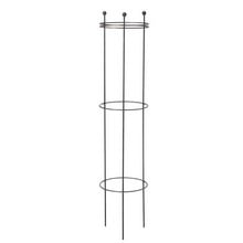 Harrod Tall Circular Plant Support - Rust