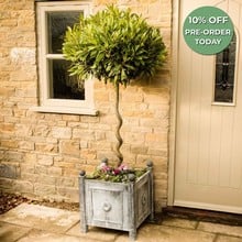 Harrod Traditional Steel Planters