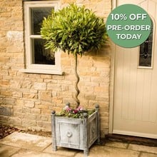 Harrod Traditional Steel Planters