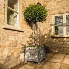 Harrod Traditional Steel Planters