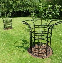 Harrod Tree Guards