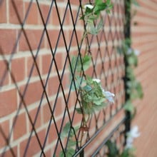 Harrod Trellis Growing Frames 25mm Square Posts