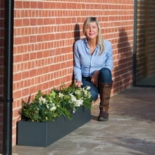 Harrod Trough Metal Planters - Anthracite Grey