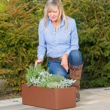 Harrod Trough Metal Planters - Corten Effect