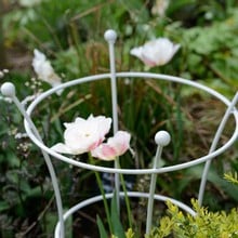 Harrod Trumpet Peony Plant Support - Silk Grey