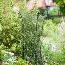 Harrod Trumpet Wire Obelisks