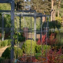 Harrod Trumpet Wire Obelisks