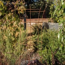 Harrod Trumpet Wire Obelisks - Ground Inserted Version