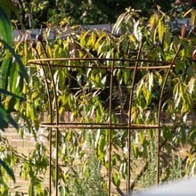 Harrod Trumpet Wire Obelisks Rust - Ground Inserted Version