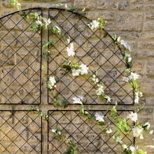 Harrod Wall Trellis Frames