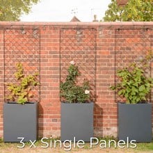 Harrod Wall Trellis Frames