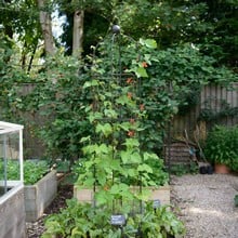 Harrod Wire Bean Columns