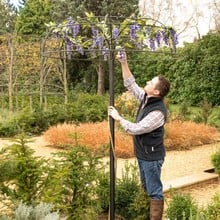 Harrod Wisteria Umbrella Support Frame