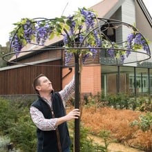 Harrod Wisteria Umbrella Support Frame