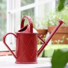 Haws 1 litre Plastic Indoor Watering Can Red Haws 1 litre Plastic Indoor Watering Can Red