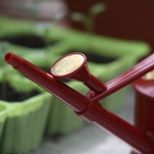Haws 1 litre Plastic Indoor Watering Can Red Haws 1 litre Plastic Indoor Watering Can Red