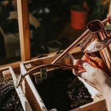 Haws Copper Indoor and Seedling Watering Can Haws Copper Indoor and Seedling Watering Can