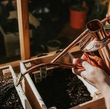 Haws Copper Indoor and Seedling Watering Can