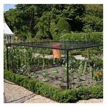 Heavy-Duty Steel Vegetable and Strawberry Cage