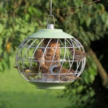 Helix Seed Bird Feeder - Celadon Green