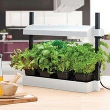 Herb & Salad Growing Kit