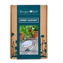 Herby Harvest Set