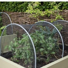 Hoops & Butterfly Net Cover for Standard Metal Beds