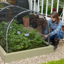 Hoops & Butterfly Net Cover for Superior Metal Beds