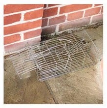 Humane Rat Cage