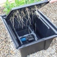 Hydropod Cuttings Propagators