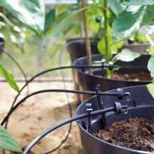 Irrigatia Solar Automatic Irrigation Kit